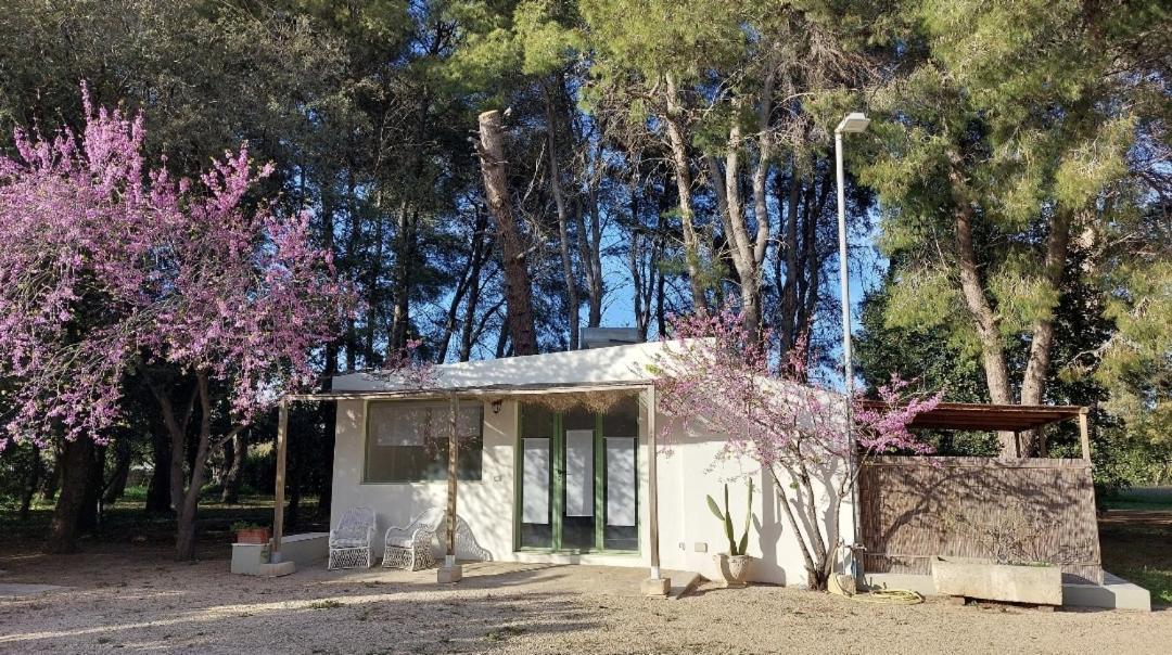 B&B Villa I 2 Leoni Lecce Kamer foto